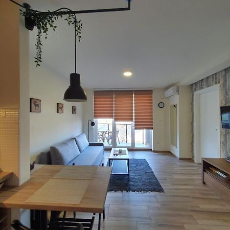 Apartman Alisa Veliko Gradište المظهر الخارجي الصورة